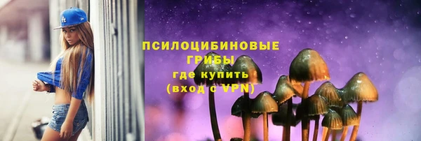 индика Алексин