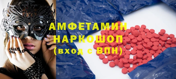 индика Алексин